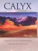 Vol. 29:3