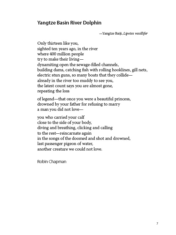 Vol. 26:1 - Image 2