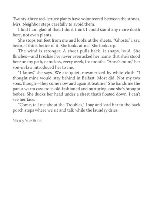 Vol. 29:1 - Image 4