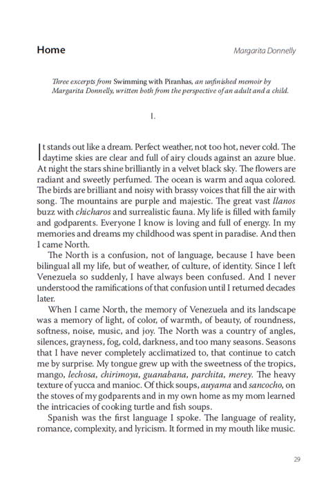 Vol. 28:2 - Image 3